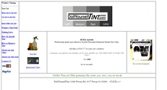 Desktop Screenshot of doityourselftint.com